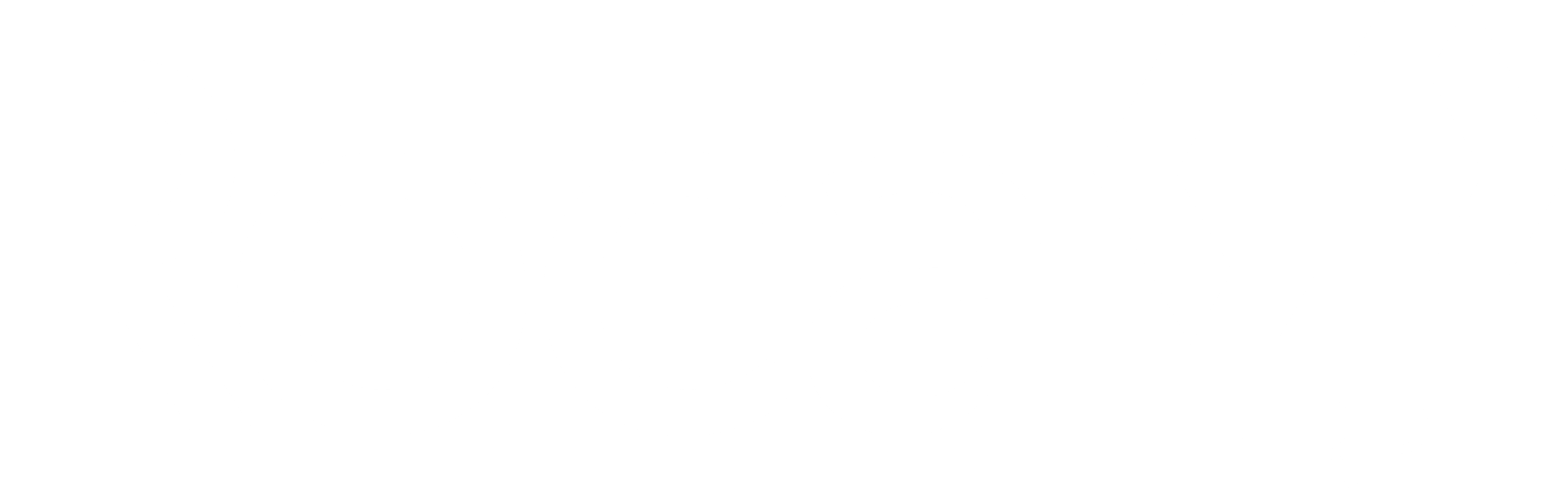 Roca ERP